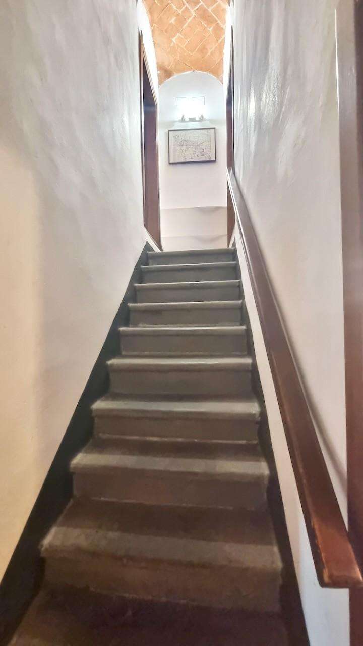  - foto 15