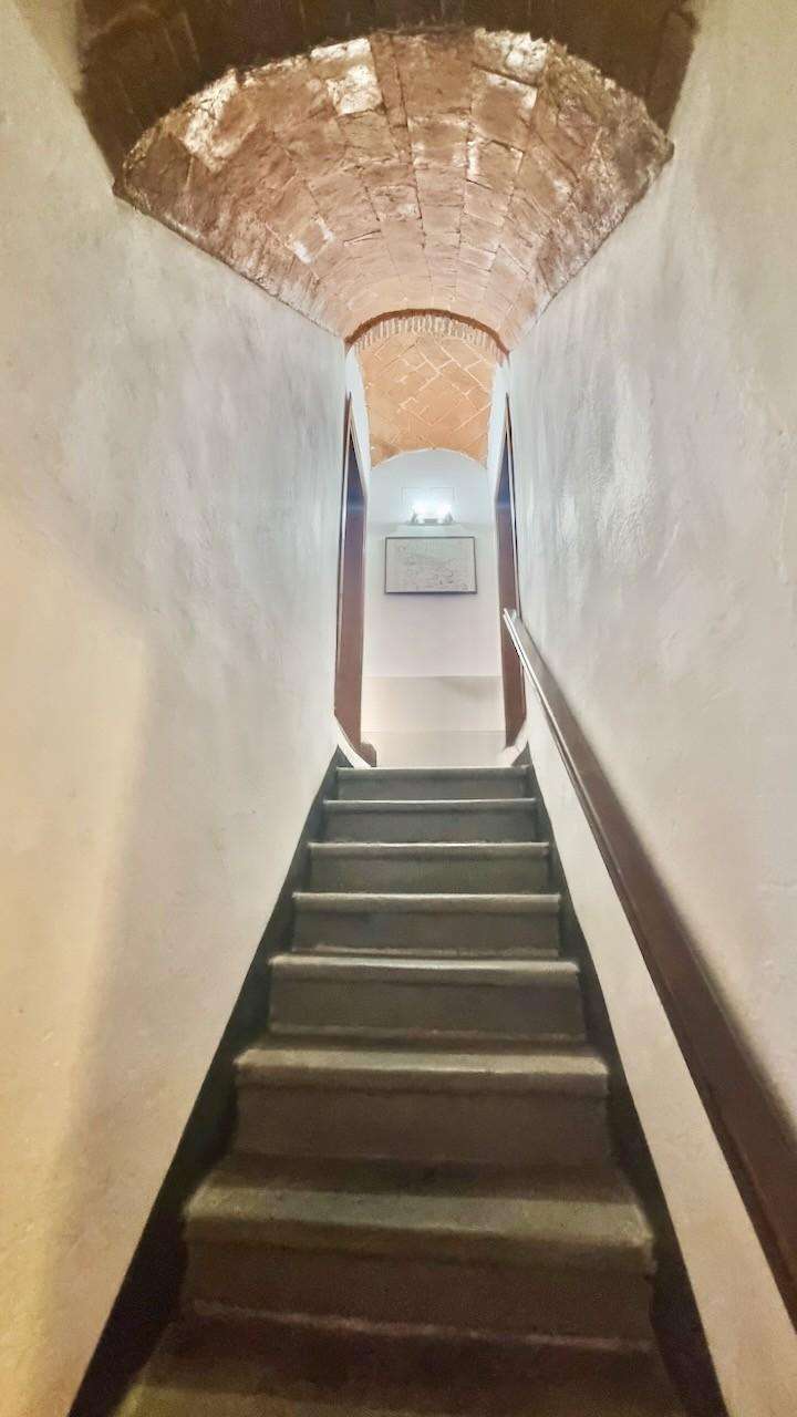  - foto 16