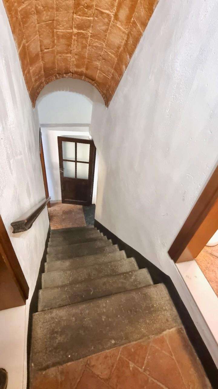  - foto 17