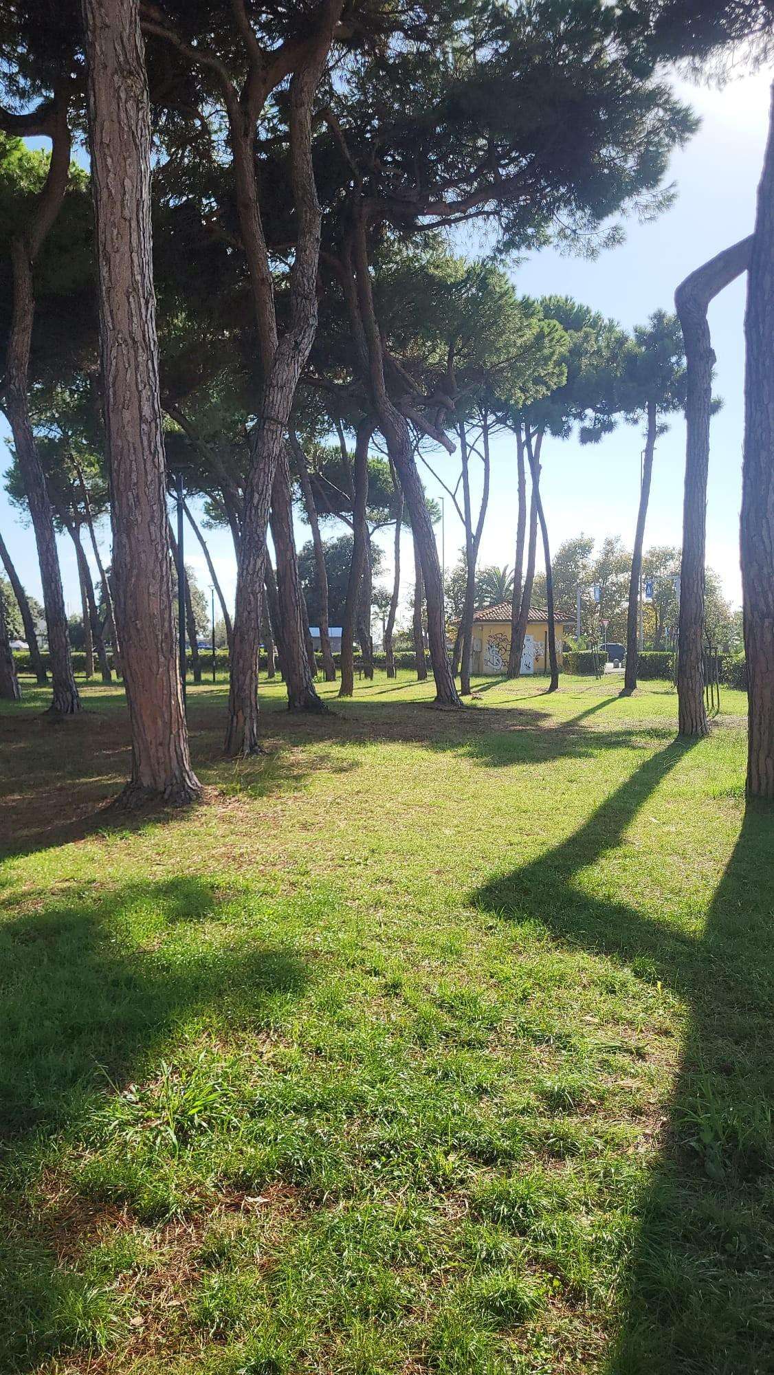  - foto 14