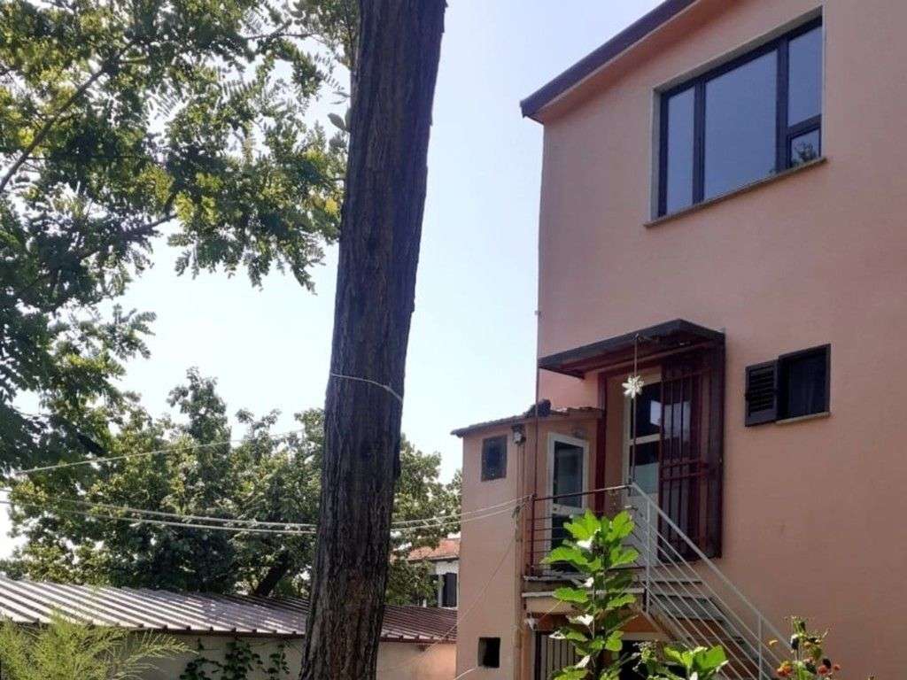  - foto 4