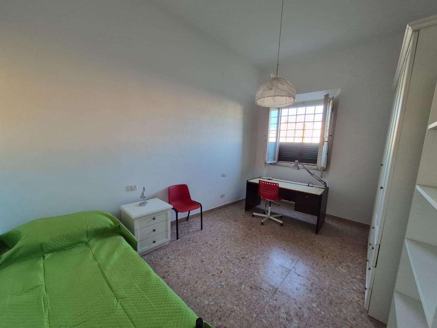  - foto 5