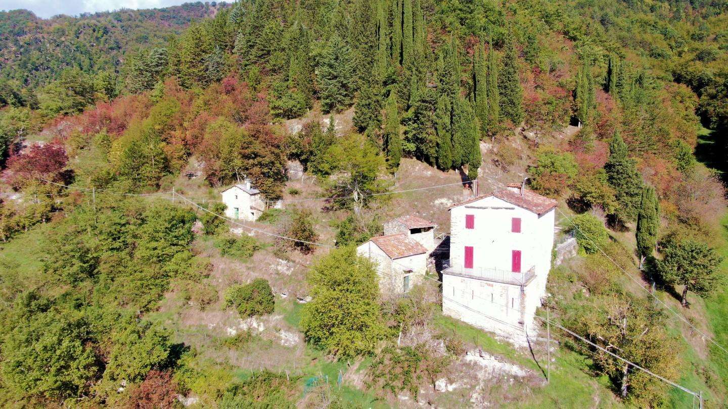  - foto 41