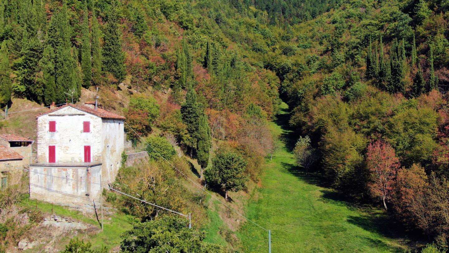  - foto 43