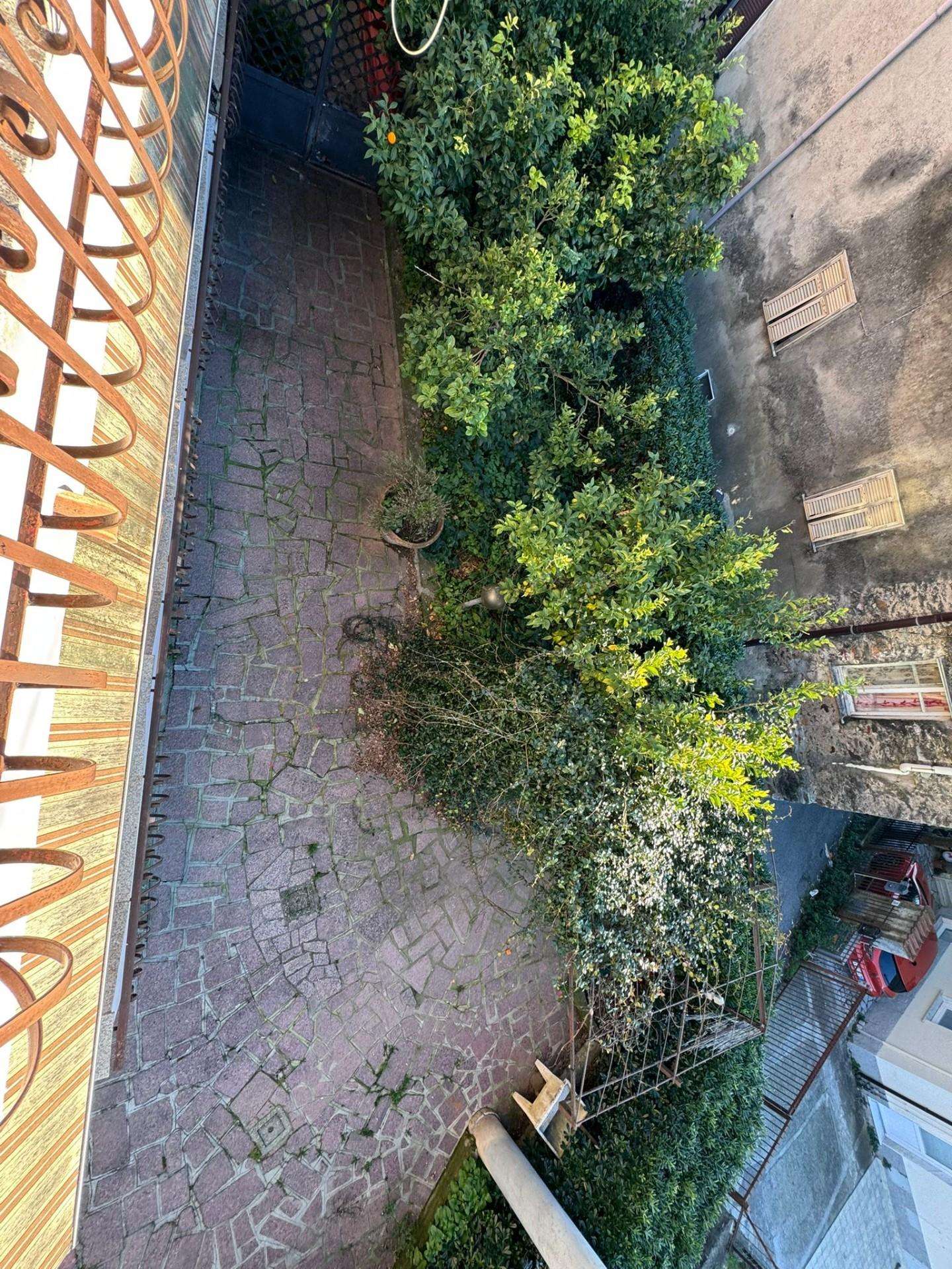  - foto 36