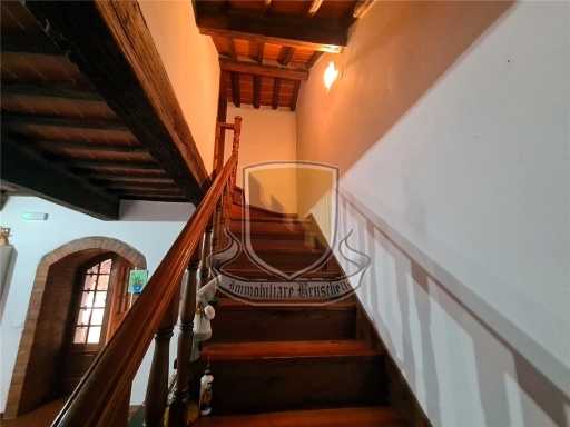  - foto 25