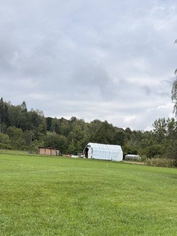  - foto 4