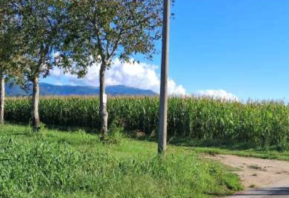  - foto 10