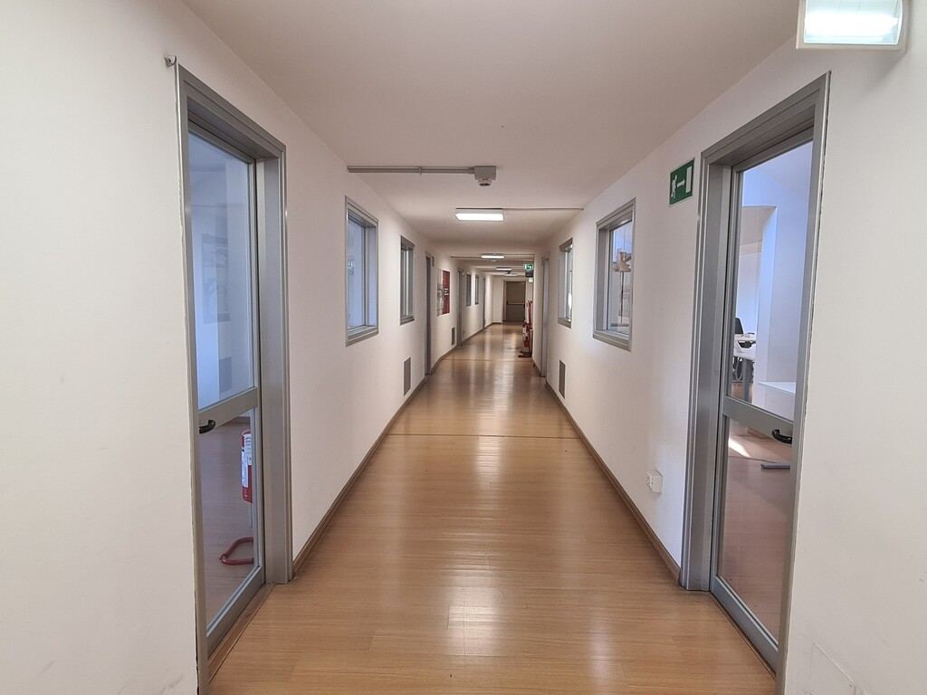 Ufficio, Roma