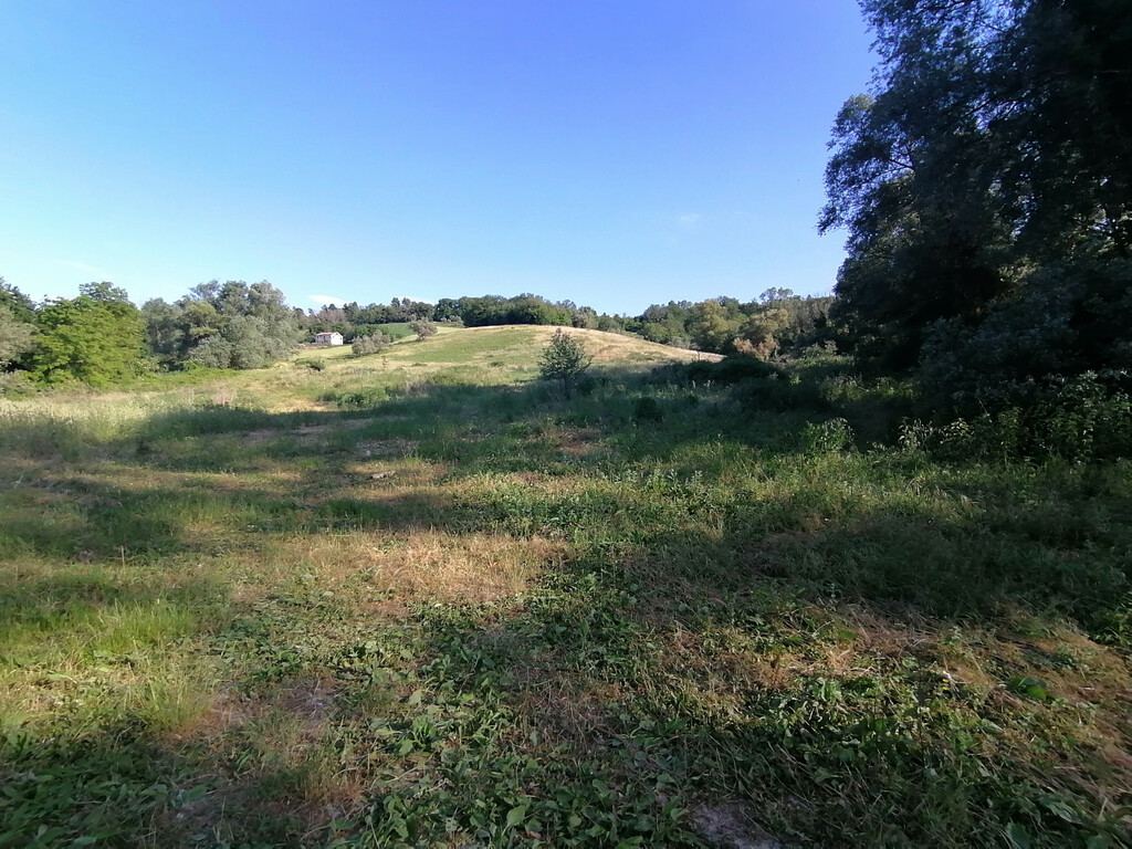  - foto 2