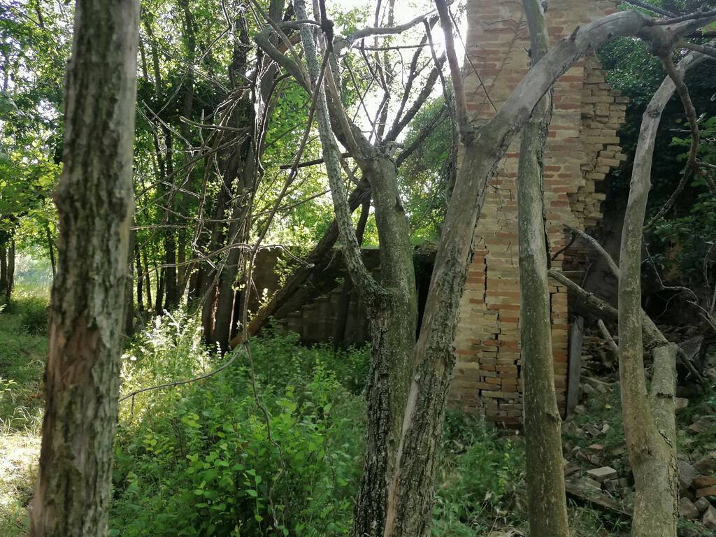  - foto 5
