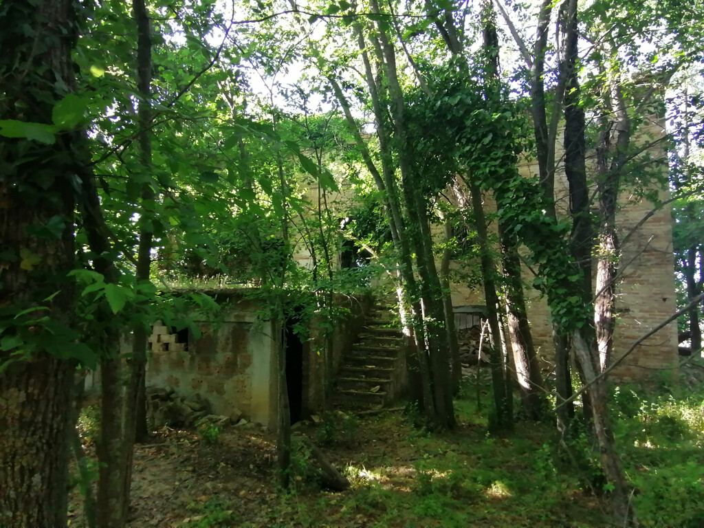  - foto 6