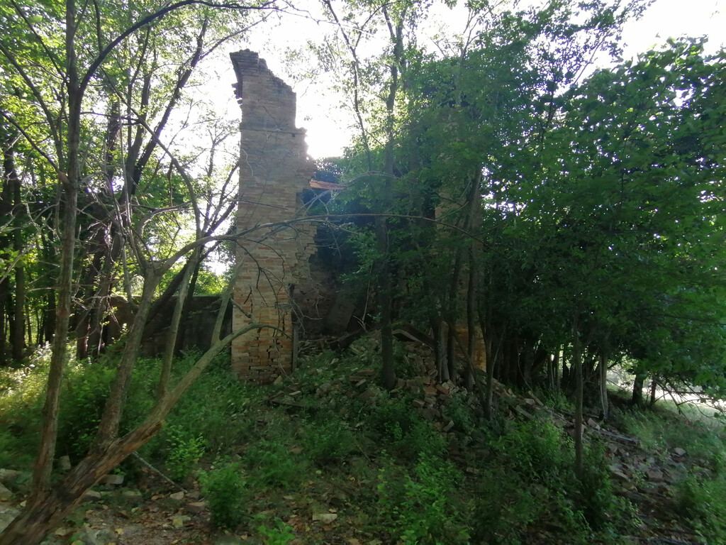  - foto 7