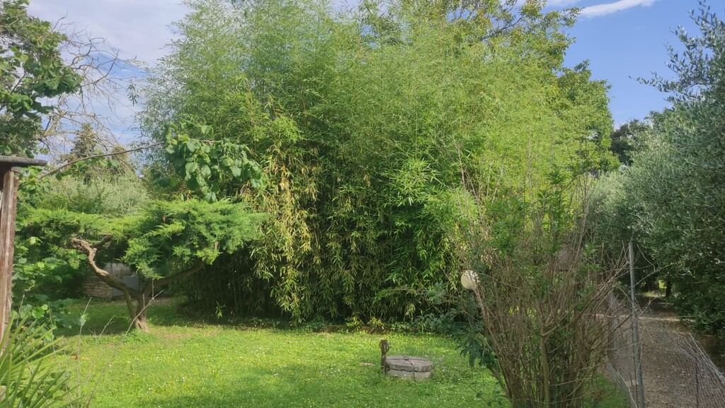  - foto 12
