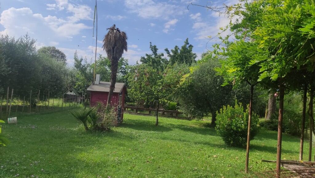  - foto 15
