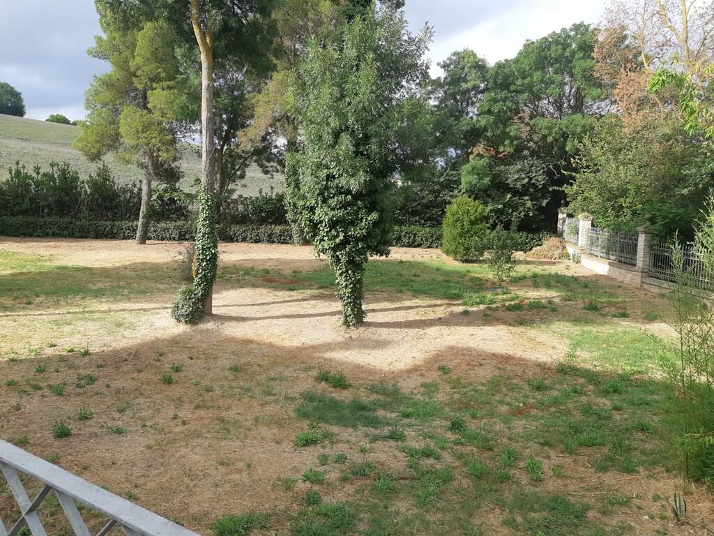  - foto 10