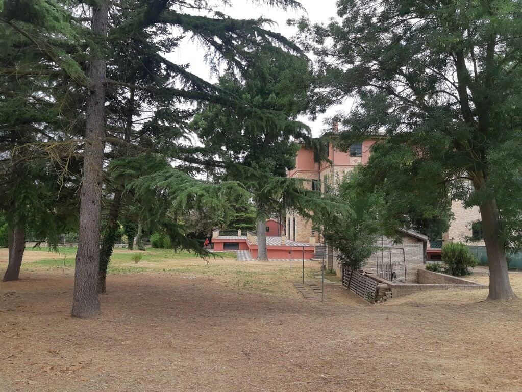  - foto 11