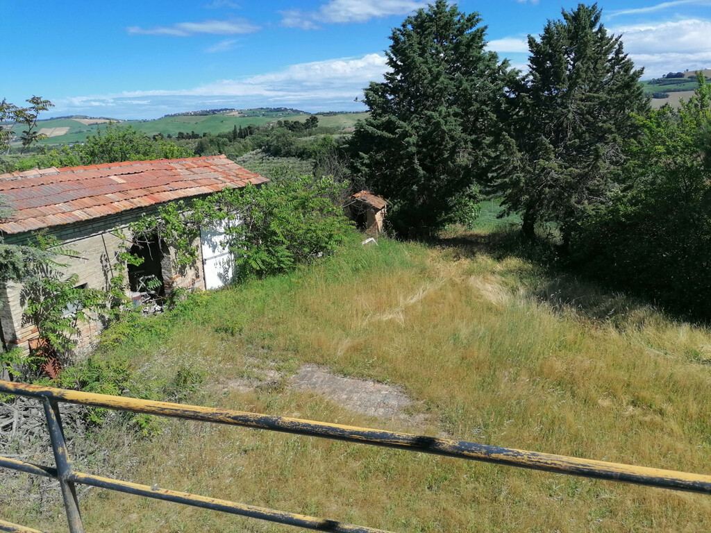  - foto 5
