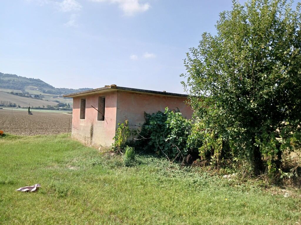  - foto 6