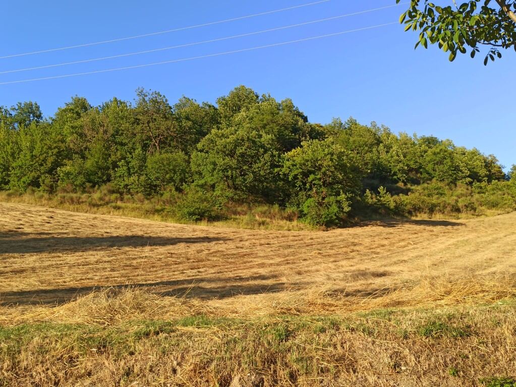  - foto 10