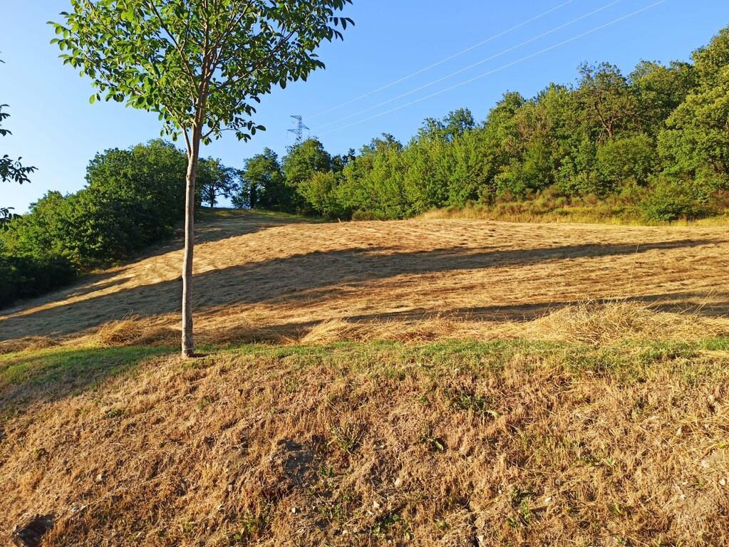  - foto 11