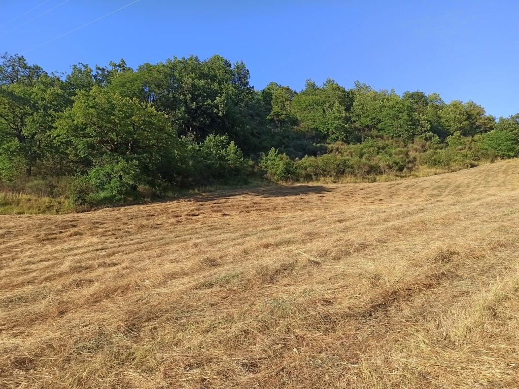  - foto 29