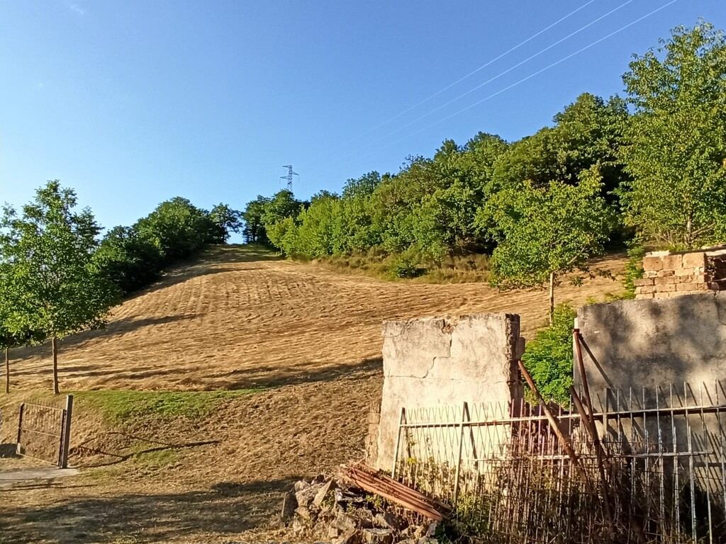  - foto 37