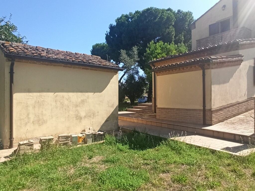  - foto 12