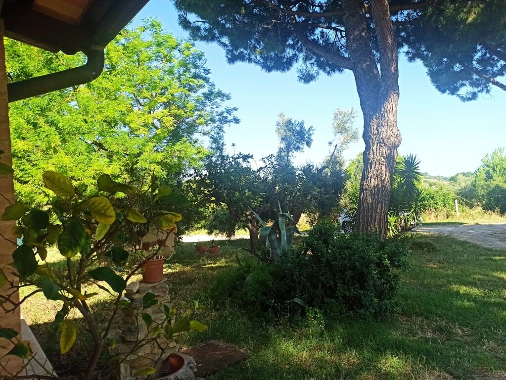  - foto 2