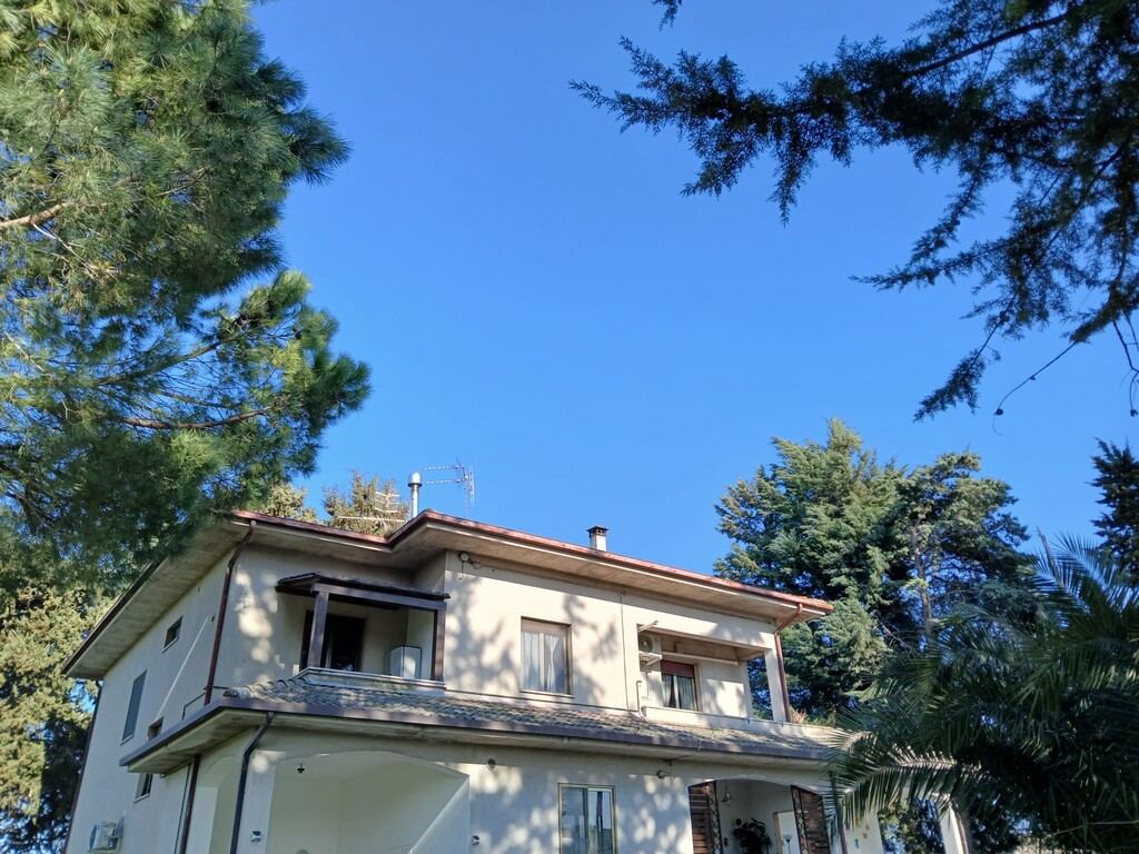  - foto 19