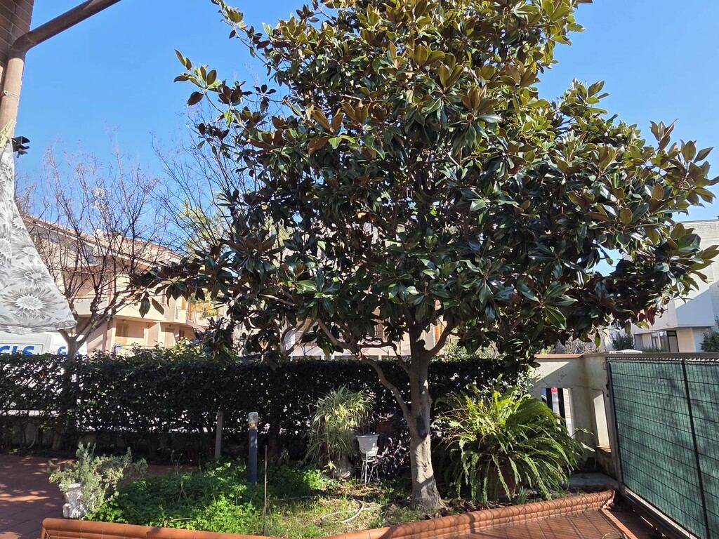 Villetta a schiera Via Boiardo, 1, Civitanova Marche