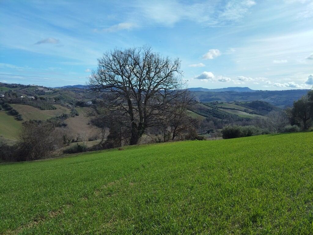  - foto 11