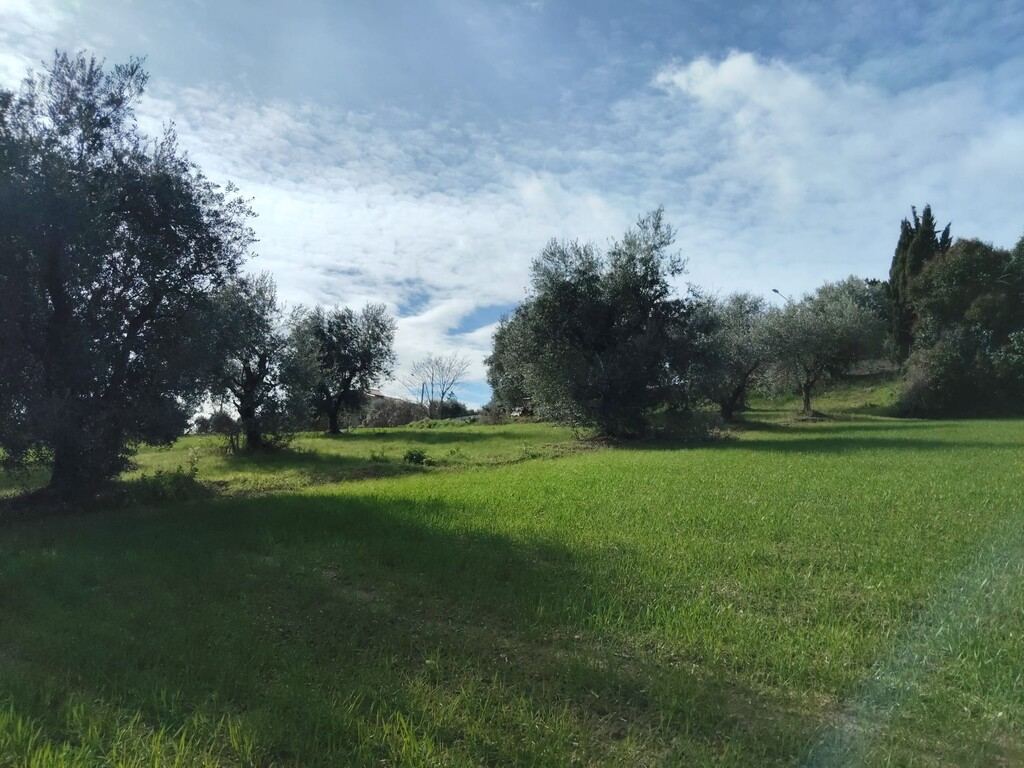  - foto 12
