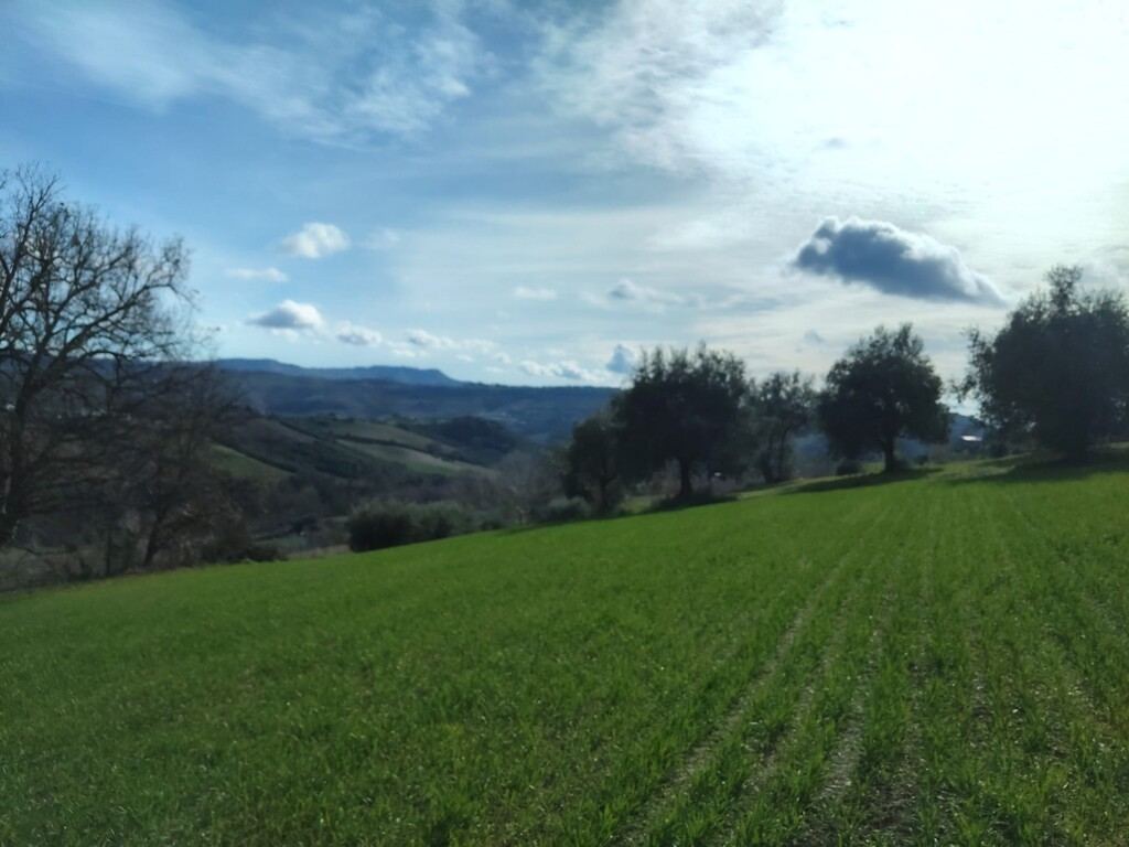  - foto 15