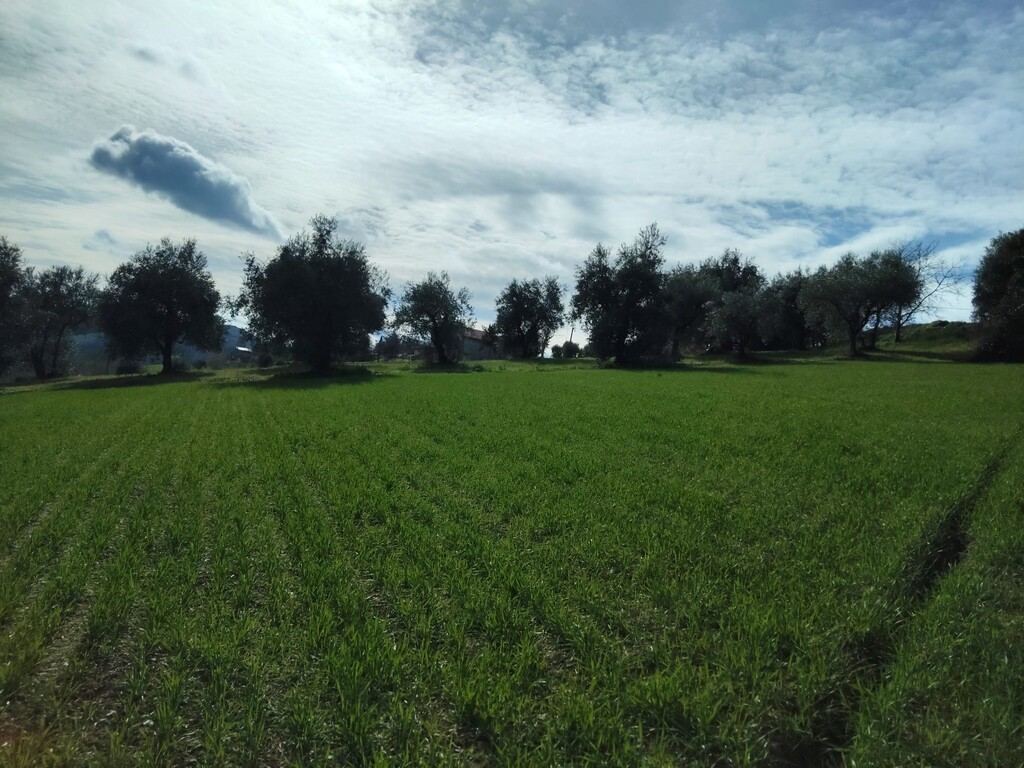  - foto 16