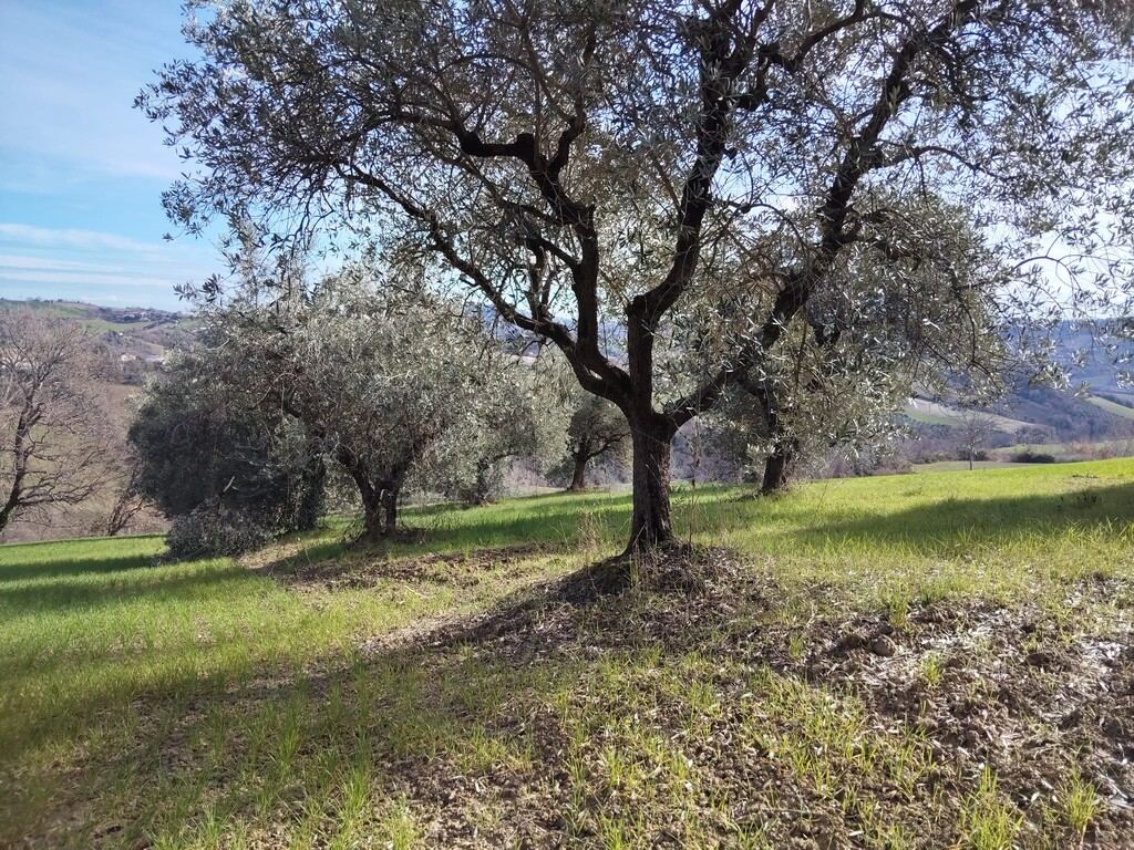  - foto 17