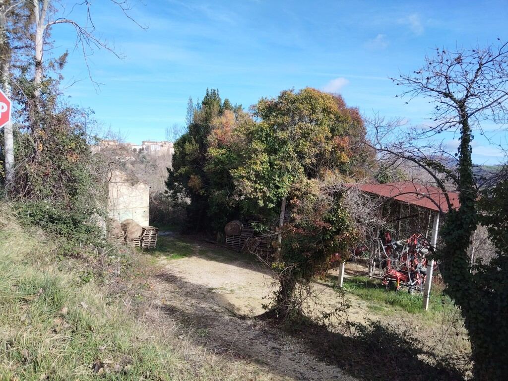  - foto 18