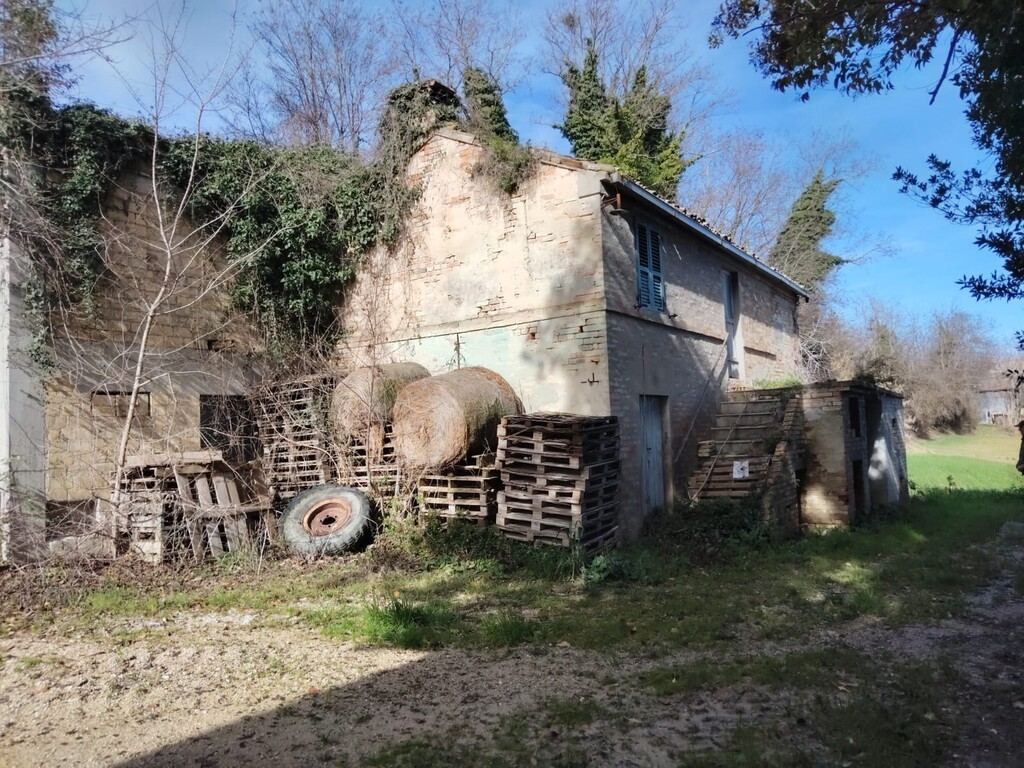  - foto 19