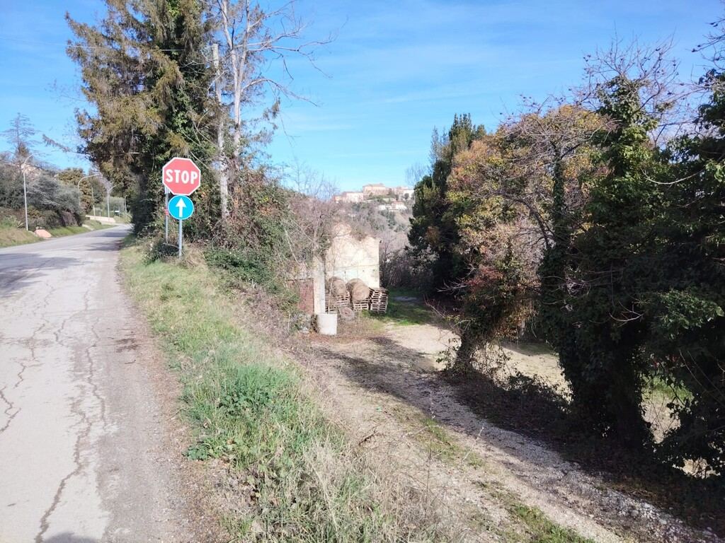  - foto 5