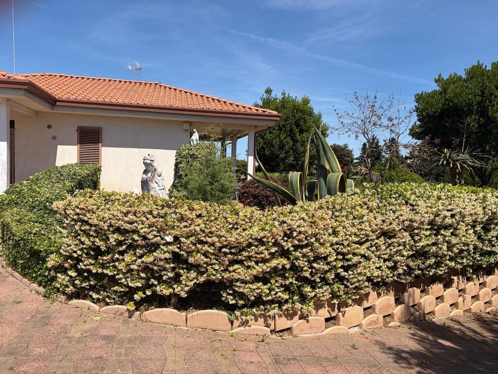  - foto 10