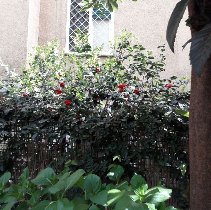 - foto 13