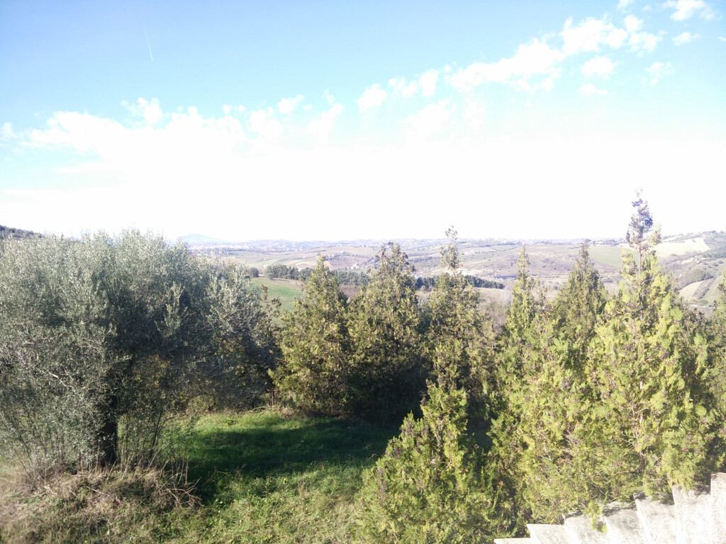  - foto 20