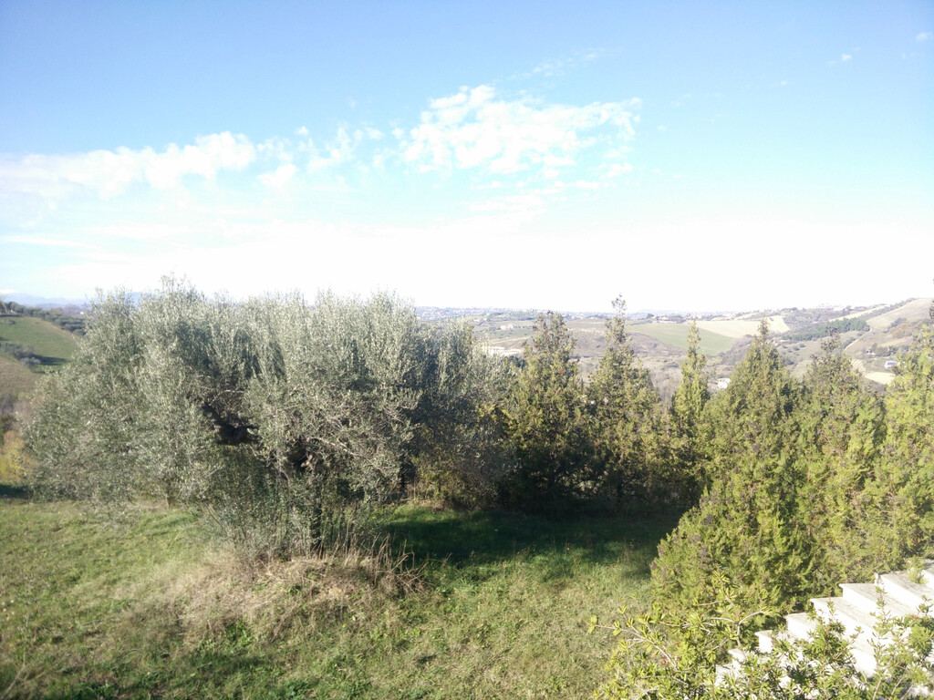  - foto 30