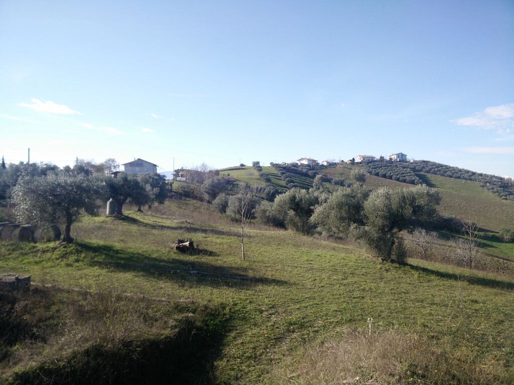  - foto 31