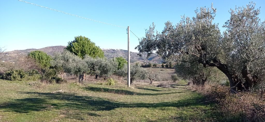 - foto 35