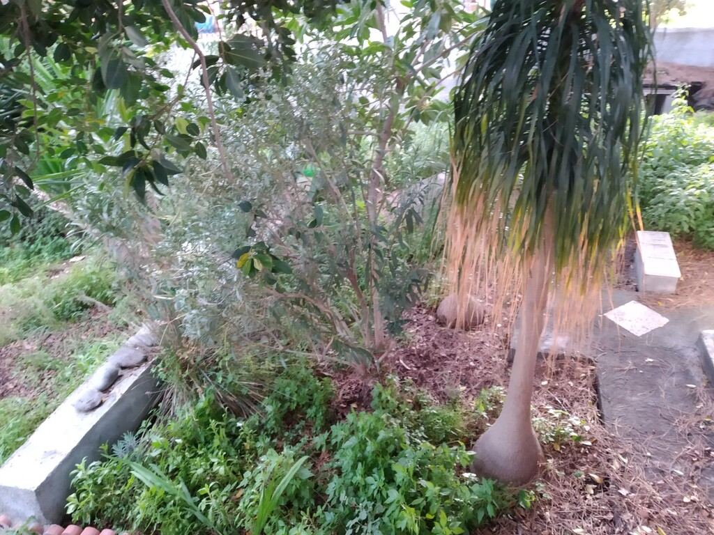  - foto 6