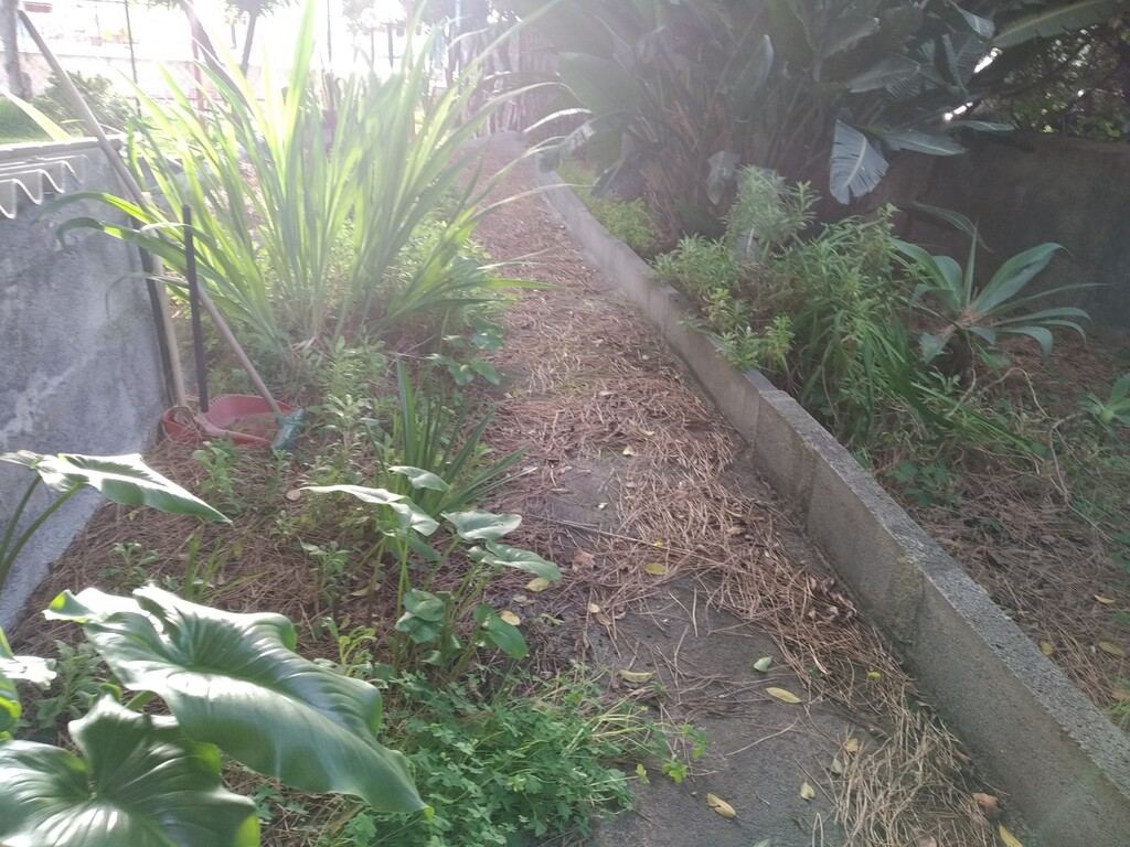  - foto 9