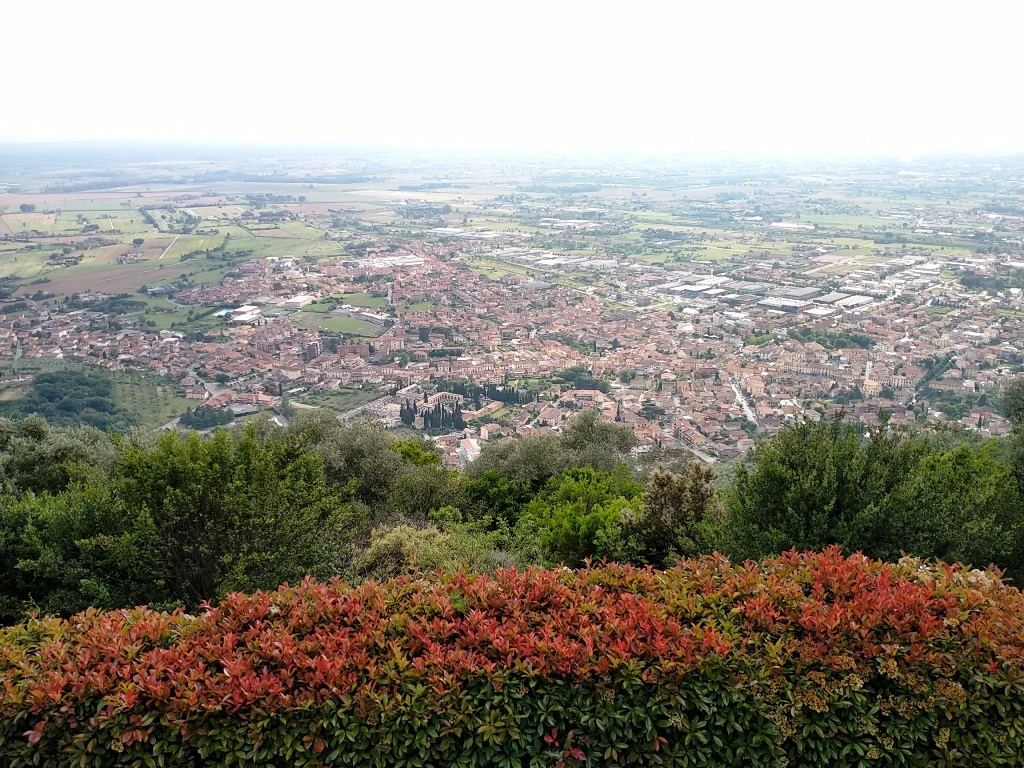  - foto 5