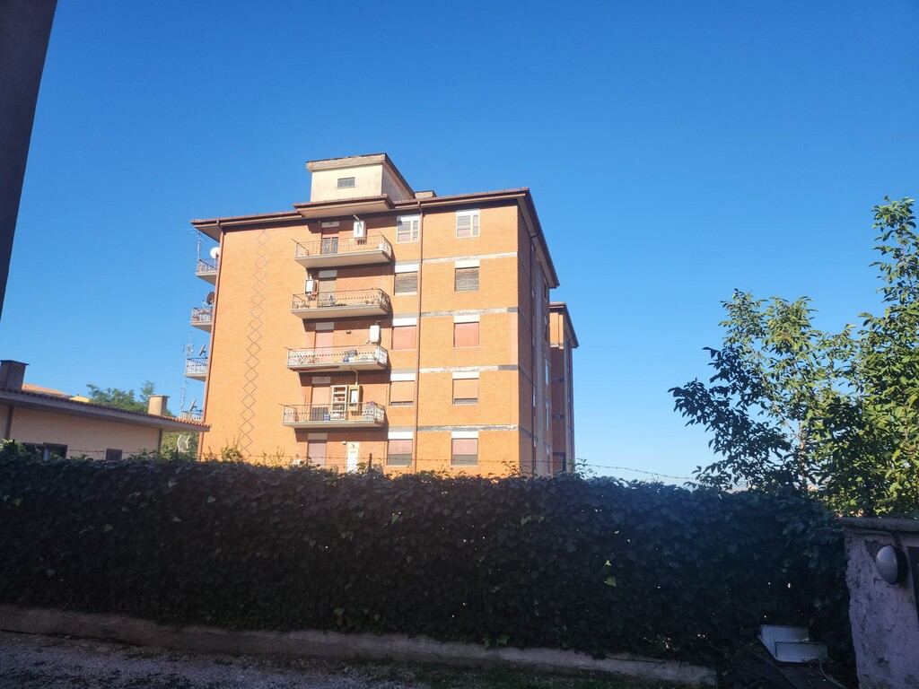  - foto 7