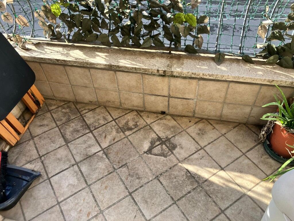  - foto 8